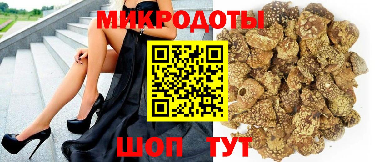 Псилоцибиновые грибы Cubensis Жигулёвск